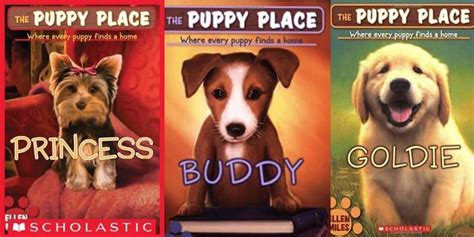 how many puppy place books are there in the series? let's dive into the world of puppy place and explore its magical journey through the pages.