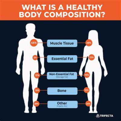 what are the three main components that make up body composition? how do these components interact with each other to influence overall health?